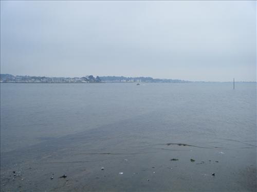 a-dscf2428.jpg