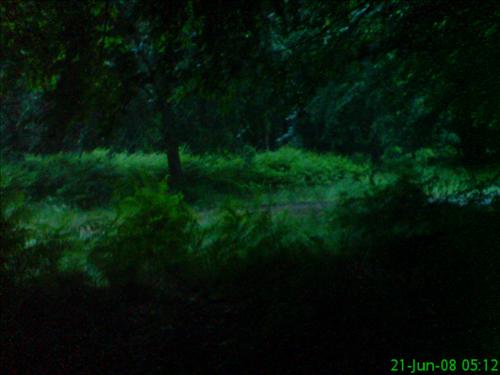 a-dsc02119.jpg