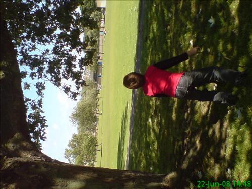 a-dsc02137.jpg