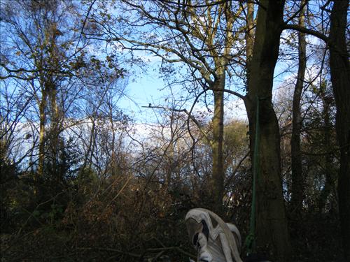 a-dscf2465.jpg