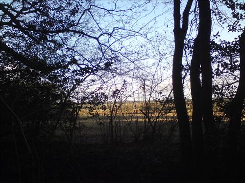 b-dsc01941.jpg