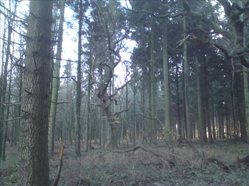 b-dsc01961.jpg