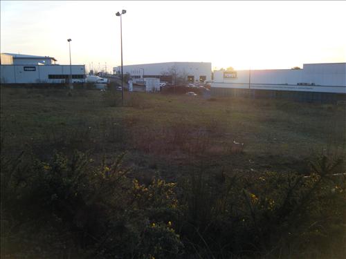 b-dscf3031.jpg