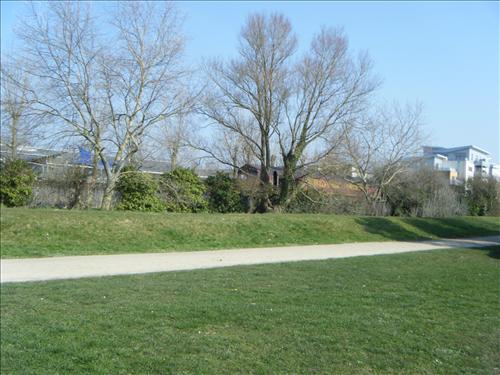b-dscf3159.jpg