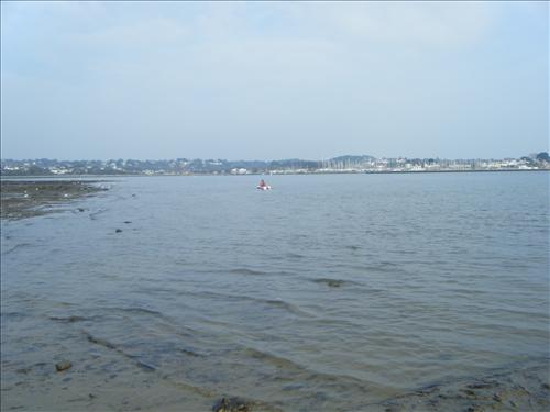 b-dscf3174.jpg
