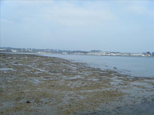 b-dscf3177.jpg
