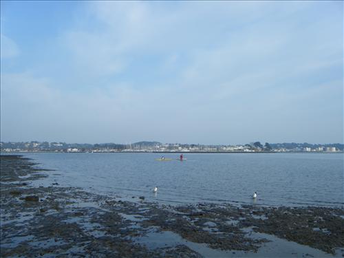 b-dscf3178.jpg
