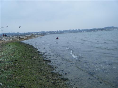b-dscf3355.jpg