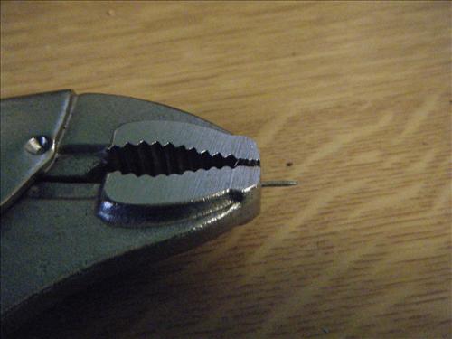 b-dscf3387.jpg