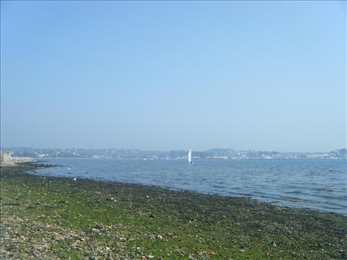 b-dscf3626.jpg