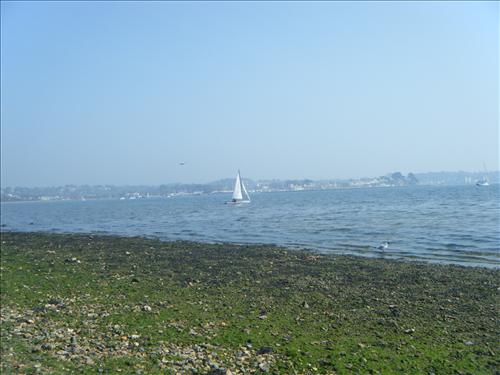 b-dscf3631.jpg