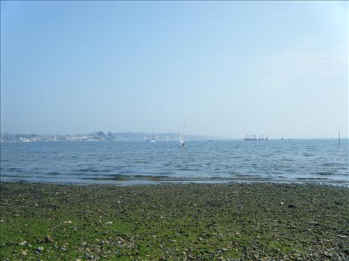 b-dscf3650.jpg