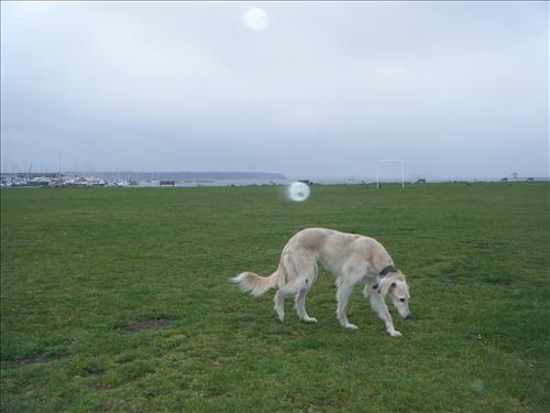 b-dscf3786.jpg