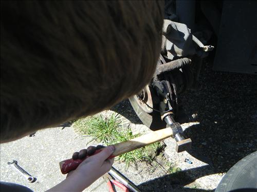 b-dscf4113.jpg
