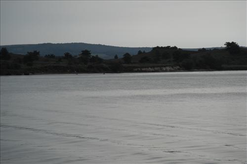 c-dscf1636.jpg