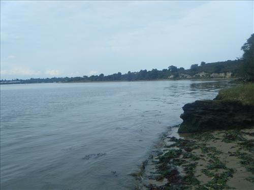 c-dscf5745.jpg